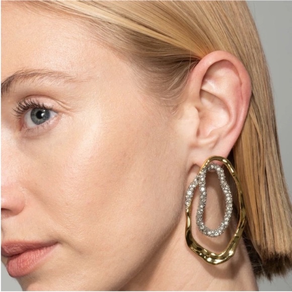 ALEXIS BITTAR • Solanales Organic double hoop loop Post Drop Earrings - Picture 2 of 9